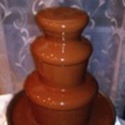Производство шоколада к свадьбе фото