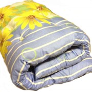 Матрасы ватные фото