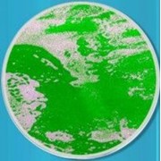 “Живая“ столешница зеленая фото
