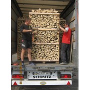 Закупаем дрова граба и бука в Украине фотография