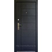 Дверь металлическая МД-16 фото