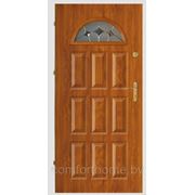 Дверь металлическая Посейдон 306