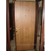 Дверь металлическая по инд. заказу №111 фото