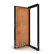 Двери металлические со Скином ламинированным