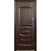 Дверь металлическая М-01 фото