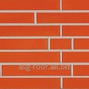 Плитка для фасадов 320-L Apricot фото