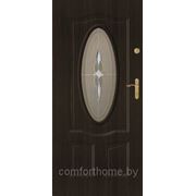 Дверь металлическая Икар 305 фото