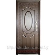 Дверь входная, металлическая эконом “м-06“ фото
