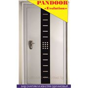 Входная дверь металлическая“Pandoor“,модель Evolution фото
