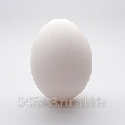 Яйцо С1