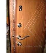 Дверь металлическая по инд. заказу №108 фото