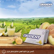 Жевательная резинка "Biodent" со вкусом Дыни