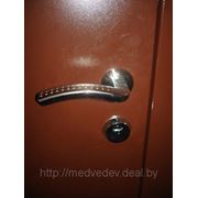 Дверь металлическая по инд. заказу №77 (уличная) фото
