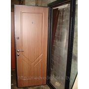 Дверь металлическая по инд. заказу №49 фото