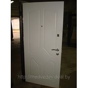 Дверь металлическая по инд. заказу №88 (с открыванием вовнутрь) фото