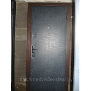 Дверь металлическая по инд. заказу №101 фотография