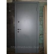 Дверь металлическая по инд. заказу №9 фото