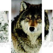 Модульная картина Волк тип 2 (0.85х0.6м) фото