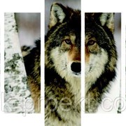 Модульная картина Волк тип 3 (0.85х0.6м) фото