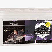 BLACK PEARL/Racan Flash Pasta (shop) зерновая приманка для мышей 600 гр (60 пак. по 10 гр) фото
