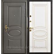 Металлическая дверь “Колор“ №1 фото
