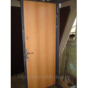 Дверь металлическая по инд. заказу №13 фото