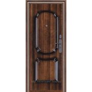 Входная металлическая дверь Форпост модель 11TSY (АКЦИЯ) фото