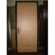 Дверь металлическая по инд. заказу №71 фото
