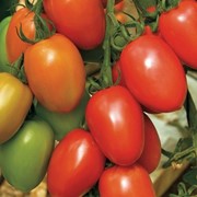 Семена томатов Гранадеро F1 | Granadero