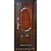 Входная металлическая дверь СИТИ-ДОРС QSD 869 (лак) фото