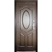 Входная металлическая дверь МАГНА М06 (техническая) фотография
