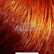 Окрашивание волос фото