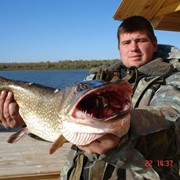 Рыбалка в Астрахани фотография