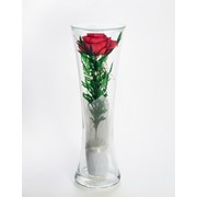 Роза в стекле tm NFP CuH-R2 фотография