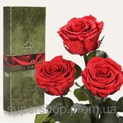 Три долгосвежих розы Алый Рубин в подарочной упаковке 228-1841229