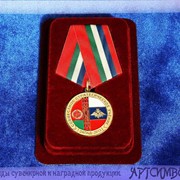 Медаль Учения Запад-2013 фото