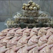 Продукция птицеводства, мясо птицы перепелки купить, купить в Днепропетровске, купить по Украине фото