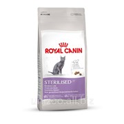 Корм для стерилизованных кошек Royal Canin Sterilised 4 кг фото