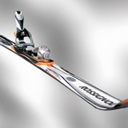 Лыжи горные фото