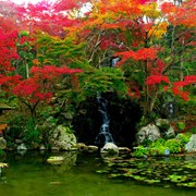 Японский сад фото
