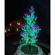 Дюралайт LED дерево Жасмин D-002