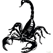 Дизельное топливо летнее фото