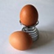Яйцо С-1 фото
