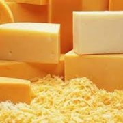 Сыр голландский из натурального цельного молока. фотография