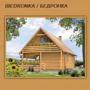 Каркасный дом BIEDRONKA / БЕДРОНКА|Строительство каркасных домов под ключ: цена, стоимость в Украине