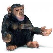 Шимпанзе (сидит) фото