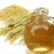 Масло Пшеничное рафинированное фото