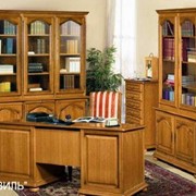 Мебель для домашнего кабинета “Давиль“ фотография