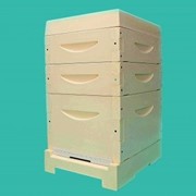 10 рамочный улей 1 корпус и 2 магазина (ППУ) фото