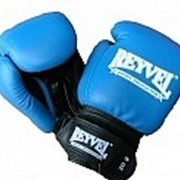 Перчатки боксерские кожаные Reyvel 10 oz